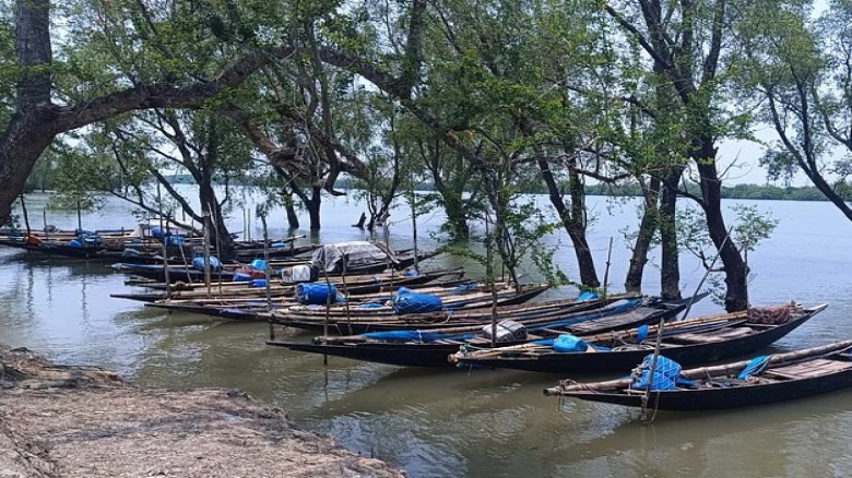 সুন্দরবনে প্রবেশের অনুমতিপত্র নবায়নে রাজস্বের চেয়ে ৪০ গুণ ঘুষ আদায়